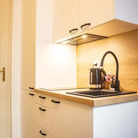 Kawalerka W Centrum Warszawy 华沙